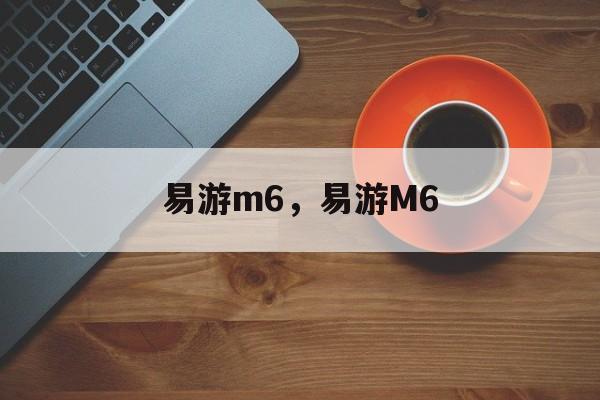 易游m6，易游M6